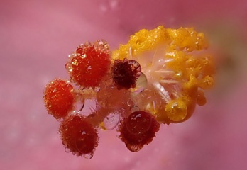 P3127247a.jpg